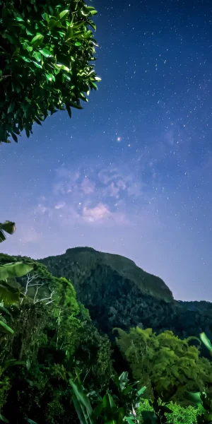 Milky Way over forested mountains in La Vega, Cundinamarca, Colombia
