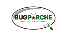 BugParche